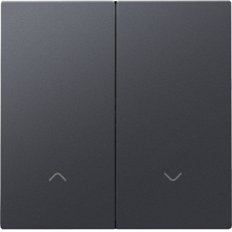 Set de finition pour interrupteur pour volets électronique double, couleur anthracite coated