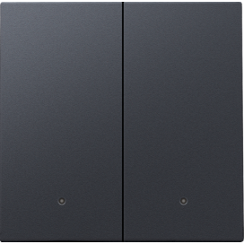 Set de finition avec lentille pour interrupteur électronique double ou bouton-poussoir, couleur anthracite coated