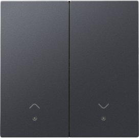 Set de finition avec lentille pour interrupteur pour volets électroniques double, couleur anthracite coated