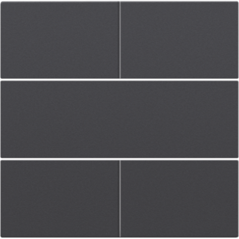 Set de finition pour bouton-poussoir quadruple, libre de potentiel, 24 V, couleur anthracite coated