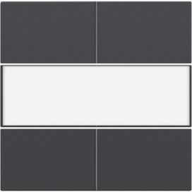 Set de finition avec porte-étiquette pour bouton-poussoir quadruple, libre de potentiel, 24 V, couleur anthracite coated