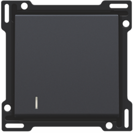 Set de finition avec voyant pour interrupteur ou bouton-poussoir simple, couleur anthracite coated