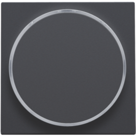 Set de finition avec anneau transparent sans symbole pour bouton-poussoir 6 A avec LED couleur ambre avec culot E10, couleur anthracite coated