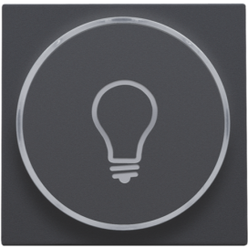 Set de finition avec anneau transparent avec symbole lampe pour bouton-poussoir 6 A avec LED couleur ambre avec culot E10, couleur anthracite coated