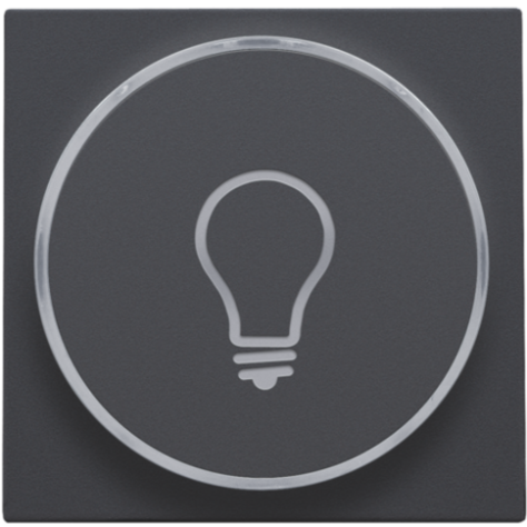 Set de finition avec anneau transparent avec symbole lampe pour bouton-poussoir 6 A avec LED couleur ambre avec culot E10, couleur anthracite coated