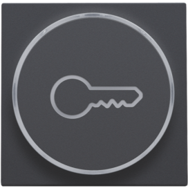 Set de finition avec anneau transparent avec symbole clé pour bouton-poussoir 6 A avec LED couleur ambre avec culot E10, couleur anthracite coated