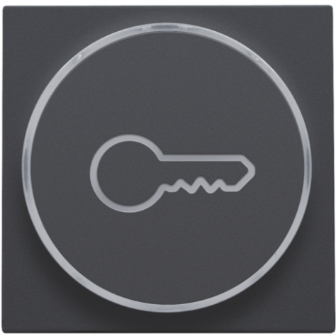 Set de finition avec anneau transparent avec symbole clé pour bouton-poussoir 6 A avec LED couleur ambre avec culot E10, couleur anthracite coated