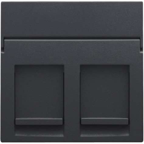 Enjoliveur data 2x RJ, couleur anthracite coated