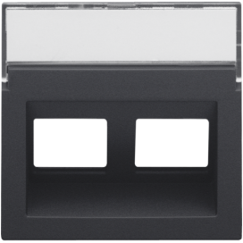 Enjoliveur data 2x RJ sortie oblique, couleur anthracite coated