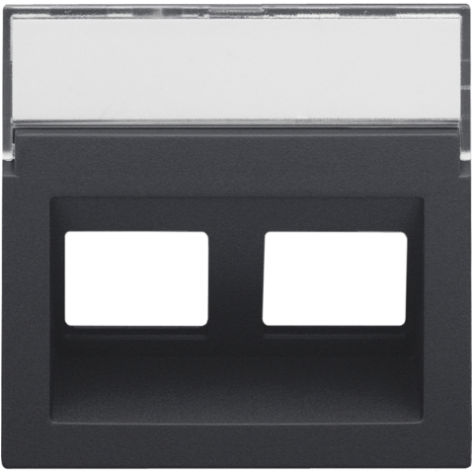 Enjoliveur data 2x RJ sortie oblique, couleur anthracite coated