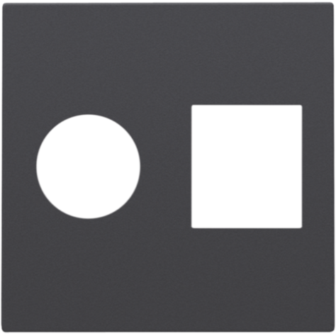 Set de finition pour connexion coaxiale simple et connexion réseau RJ45, couleur anthracite coated