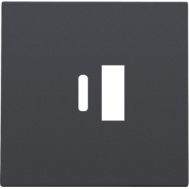 Set de finition pour double chargeur USB-A et USB-C intelligent, couleur anthracite coated