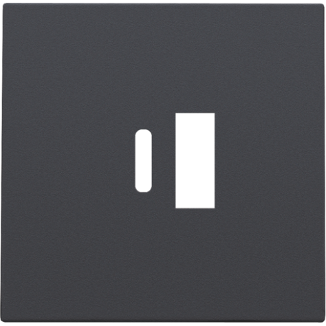 Set de finition pour double chargeur USB-A et USB-C intelligent, couleur anthracite coated