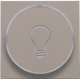 Set de finition avec anneau transparent avec symbole lampe pour bouton-poussoir 6 A avec LED couleur ambre avec culot E10, couleur bronze coated