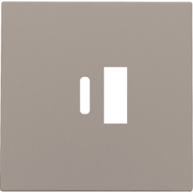 Set de finition pour double chargeur USB-A et USB-C intelligent, couleur bronze coated