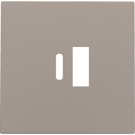 Set de finition pour double chargeur USB-A et USB-C intelligent, couleur bronze coated