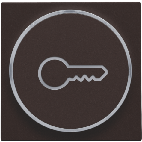 Set de finition avec anneau transparent avec symbole clé pour bouton-poussoir 6 A avec LED couleur ambre avec culot E10, couleur dark brown coated