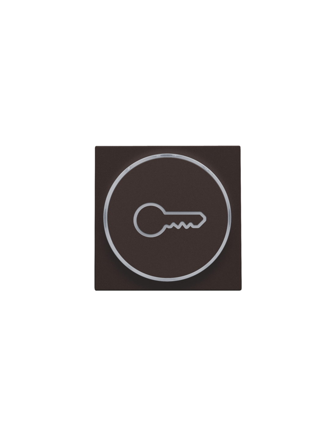 Set de finition avec anneau transparent avec symbole clé pour bouton-poussoir 6 A avec LED couleur ambre avec culot E10, couleur dark brown coated