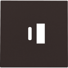 Set de finition pour double chargeur USB-A et USB-C intelligent, couleur dark brown coated