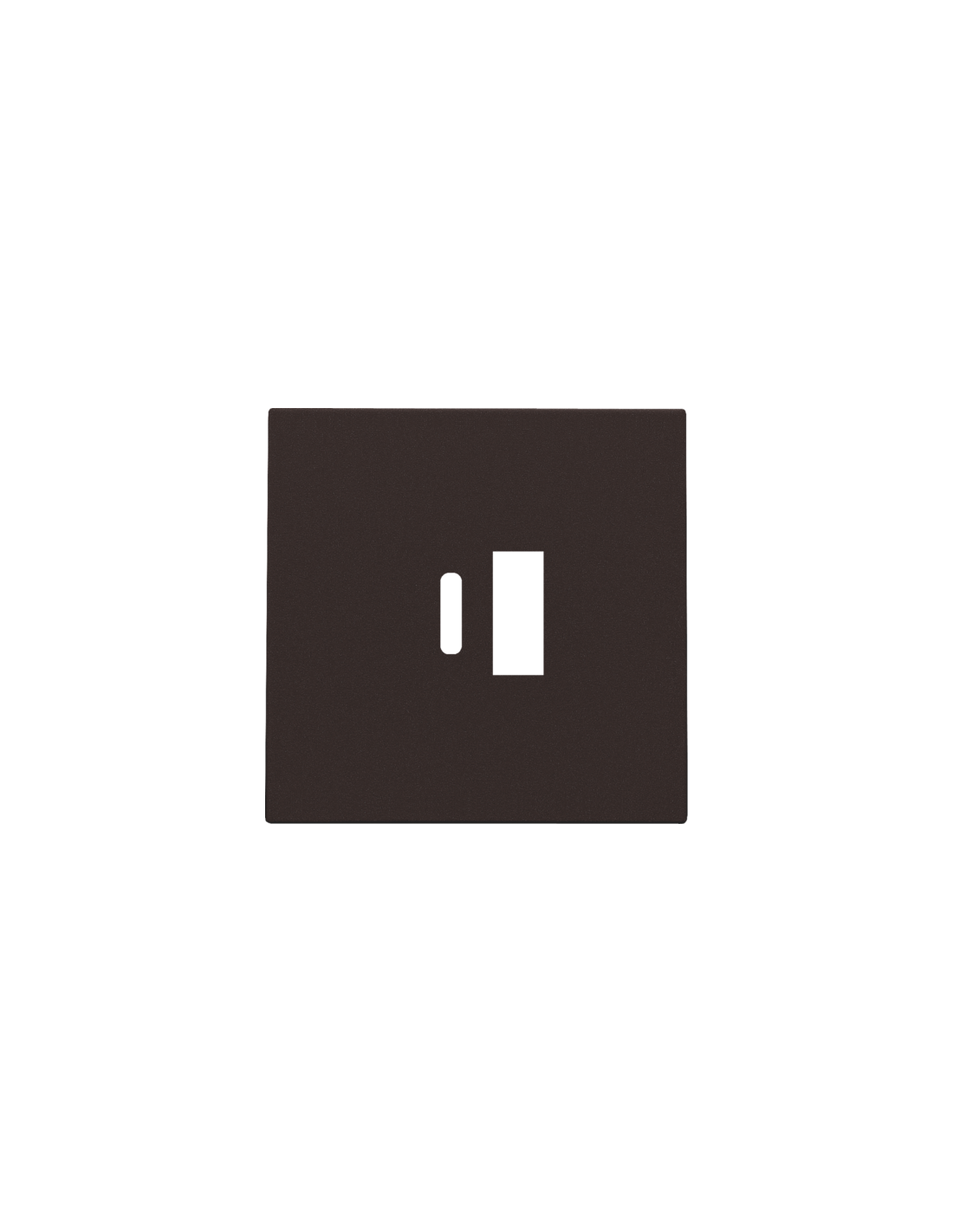 Set de finition pour double chargeur USB-A et USB-C intelligent, couleur dark brown coated