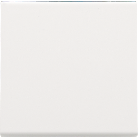 Set de finition pour interrupteur électronique ou bouton-poussoir simple, couleur white coated