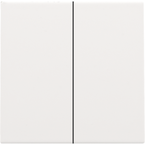 Set de finition pour interrupteur électronique double ou bouton-poussoir, couleur white coated