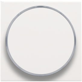 Set de finition avec anneau transparent sans symbole pour bouton-poussoir 6 A avec LED couleur ambre avec culot E10, couleur white coated