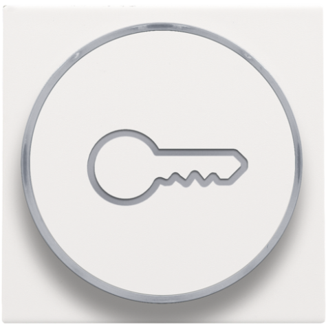 Set de finition avec anneau transparent avec symbole clé pour bouton-poussoir 6 A avec LED couleur ambre avec culot E10, couleur white coated