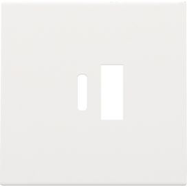 Set de finition pour double chargeur USB-A et USB-C intelligent, couleur white coated