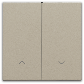 Set de finition pour interrupteur pour volets électronique double, couleur champagne coated