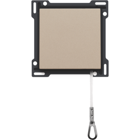 Set de finition pour interrupteur à tirette, couleur champagne coated