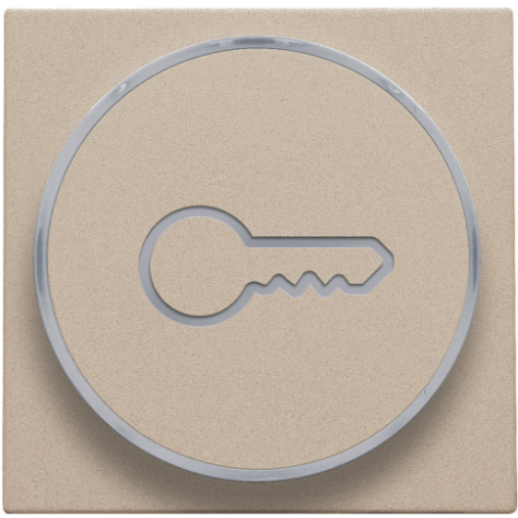 Set de finition avec anneau transparent avec symbole clé pour bouton-poussoir 6 A avec LED couleur ambre avec culot E10, couleur champagne coated