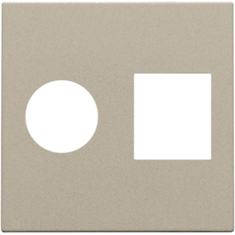 Set de finition pour connexion coaxiale simple et connexion réseau RJ45, couleur champagne coated