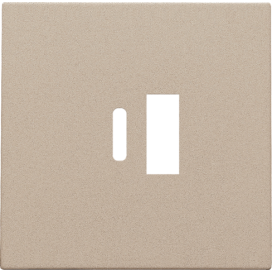 Set de finition pour double chargeur USB-A et USB-C intelligent, couleur champagne coated