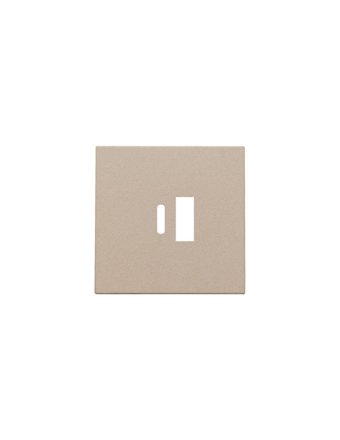 Set de finition pour double chargeur USB-A et USB-C intelligent, couleur champagne coated