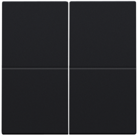 Clé double, pour variateur sans fil (Hue®, Bluetooth®, EnOcean®, KNX®), couleur black coated