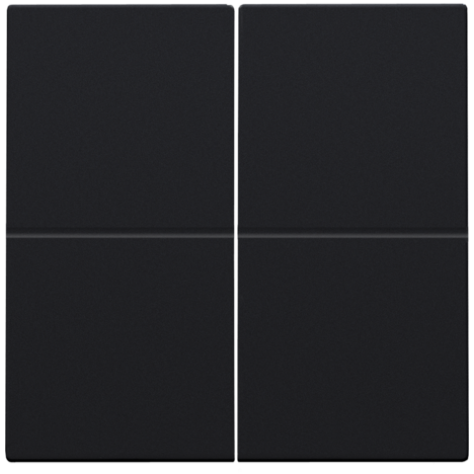 Clé double, pour variateur sans fil (Hue®, Bluetooth®, EnOcean®, KNX®), couleur black coated