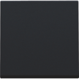 Set de finition pour interrupteur électronique ou bouton-poussoir simple, couleur black coated