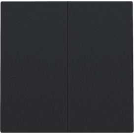 Set de finition pour interrupteur électronique double ou bouton-poussoir, couleur black coated