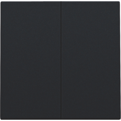 Set de finition pour interrupteur électronique double ou bouton-poussoir, couleur black coated