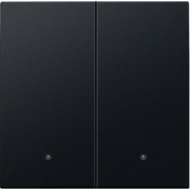 Set de finition avec lentille pour interrupteur électronique double ou bouton-poussoir, couleur black coated