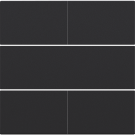 Set de finition pour bouton-poussoir quadruple, libre de potentiel, 24 V, couleur black coated