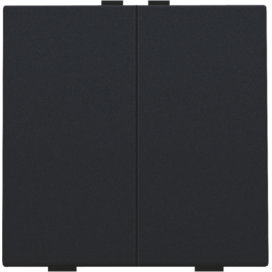 Bouton-poussoir double pour Niko Home Control, couleur black coated