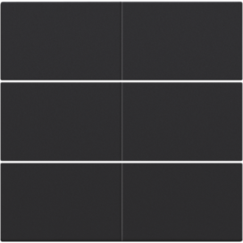 Set de finition pour bouton-poussoir sextuple, libre de potentiel, 24 V, couleur black coated