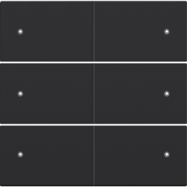 Set de finition pour bouton-poussoir sextuple, libre de potentiel, 24 V, avec LED, couleur black coated