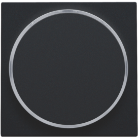 Set de finition avec anneau transparent sans symbole pour bouton-poussoir 6 A avec LED couleur ambre avec culot E10, couleur black coated