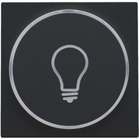 Set de finition avec anneau transparent avec symbole lampe pour bouton-poussoir 6 A avec LED couleur ambre avec culot E10, couleur black coated