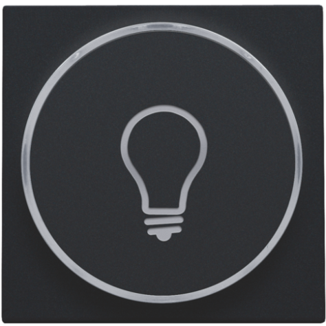 Set de finition avec anneau transparent avec symbole lampe pour bouton-poussoir 6 A avec LED couleur ambre avec culot E10, couleur black coated