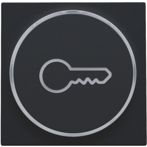 Set de finition avec anneau transparent avec symbole clé pour bouton-poussoir 6 A avec LED couleur ambre avec culot E10, couleur black coated