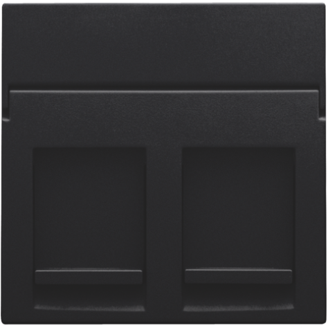 Enjoliveur data 2x RJ, couleur black coated